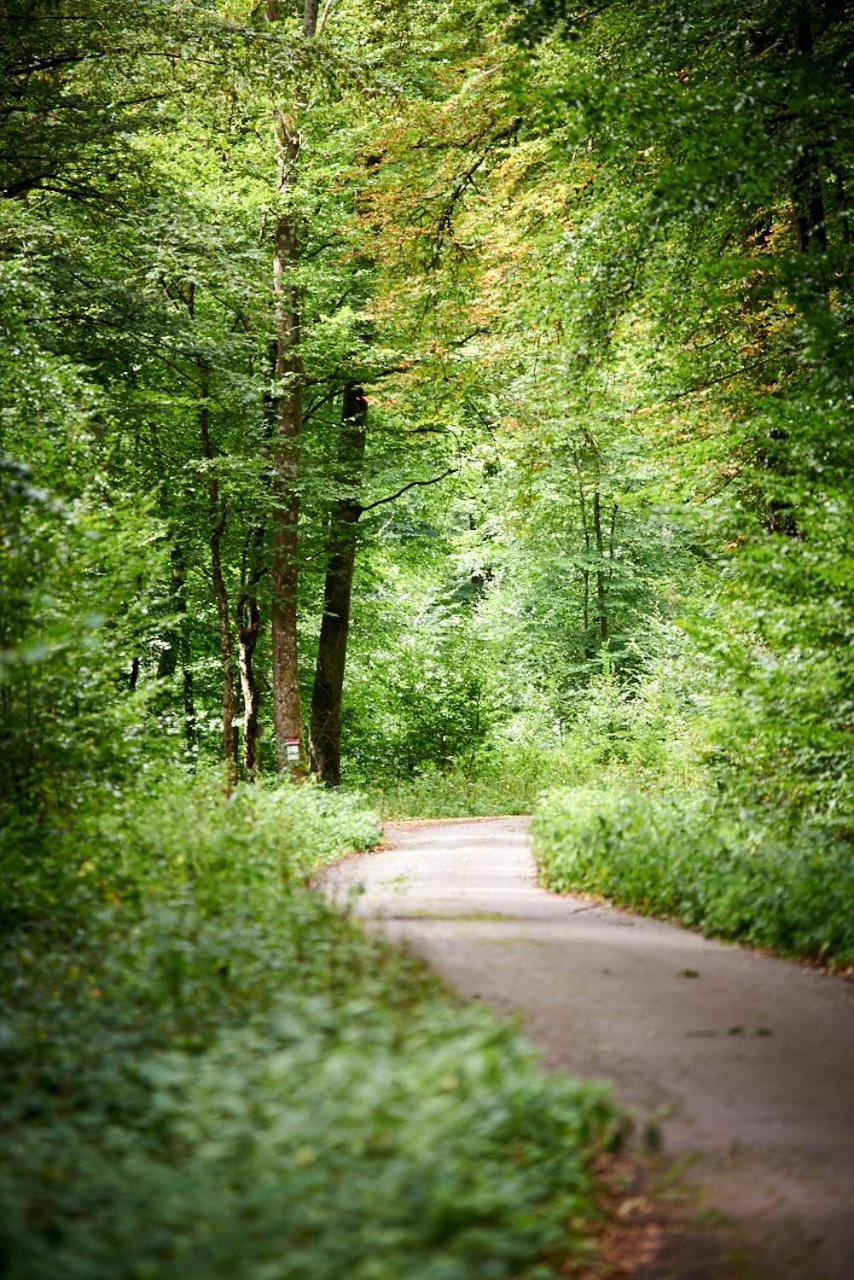 Christepaul Ferienwohnungen Bengel Zewnętrze zdjęcie